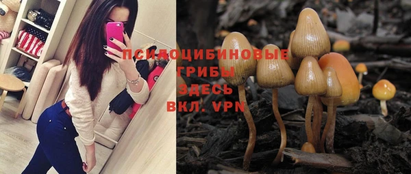 PSILOCYBIN Покачи