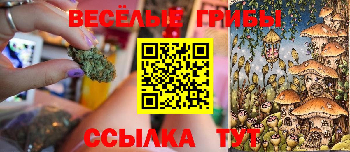 Галлюциногенные грибы MAGIC MUSHROOMS Северобайкальск