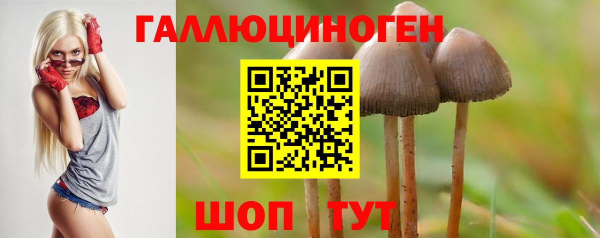 Галлюциногенные грибы прущие грибы  где купить наркотик  Северобайкальск  Вход с VPN 