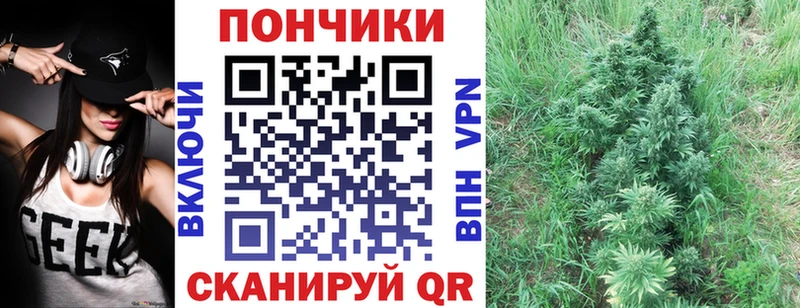 Каннабис Amnesia  купить наркотик  Северобайкальск 